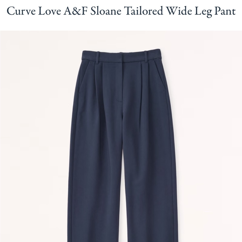 Abercrombie & Fitch Curve Love Sloane Tailored Wide Leg Pant
